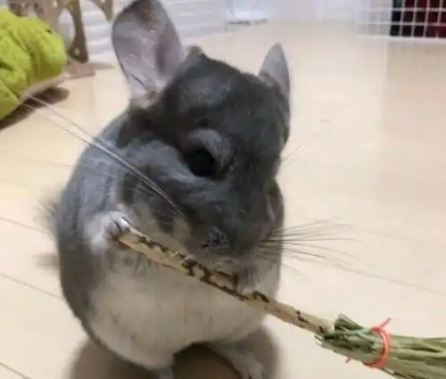  搞笑图片幽默段子笑话我第一次参加老婆的大学同学聚会