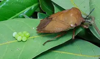  搜狐美食搜狐网