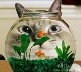 最新幽默笑话大全,搞笑段子大全,搞笑动态图片大全第7133页别逗了笑话网  最新幽默笑话大全,搞笑段子大全,搞笑动态图片大全第7133页别逗了笑话网