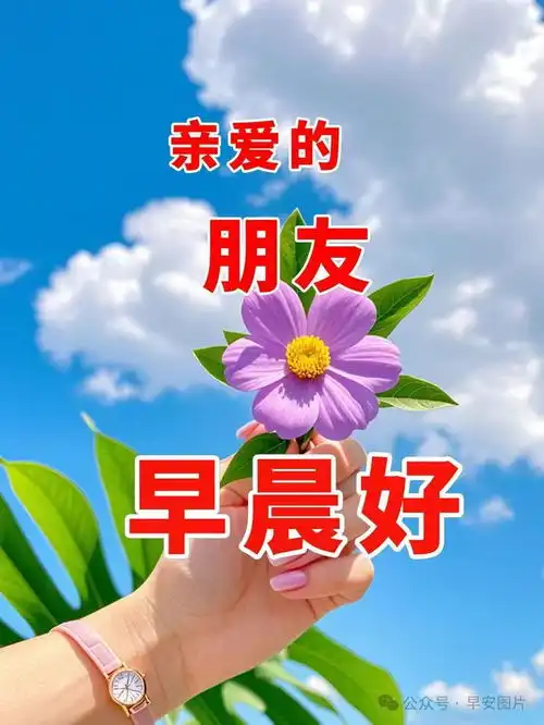  2024年8月25日周日精选早安祝福图片,雨过菊花香,又感秋风凉早安祝福美图分享给您网易订阅