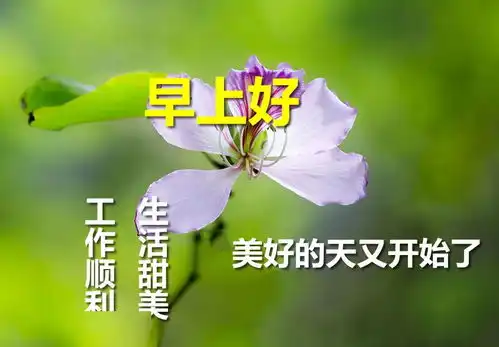  2020新版早上好祝福语暖心句子,适合群发的早上好图片表情带问候语