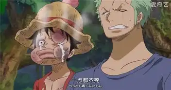 海贼王搞笑图片集合那些年让你笑出猪叫的海贼名场景
