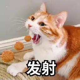  我们帮你把黄记月饼的价格打下来了,这个中秋钦州人也能吃得起