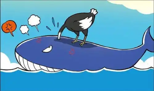  爆笑农场金钱豹也分年代,鲸鱼和鸵鸟是好朋友