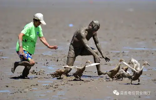 鸭子搞笑图片超级牛人