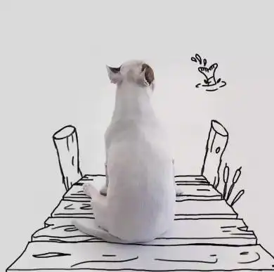  生活有进退,输什么也不能输心情