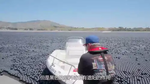  塑料球能有多大浮力老外把600斤球铺满泳池,结果这么好玩