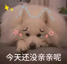  表情包适合情侣用的可爱亲亲表情包