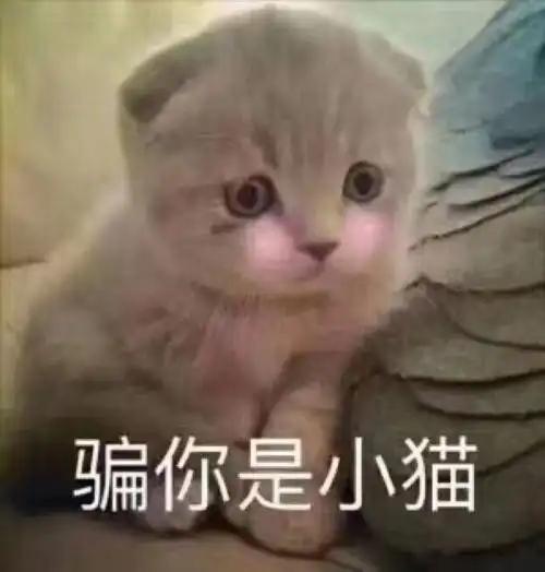  剑三玩家另辟蹊径碰瓷奇遇,运气既然拼不过,只好求助玄学了