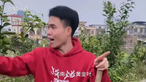 靓仔图片搞笑搞笑段子