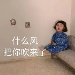 网课虚拟背景图片搞笑套