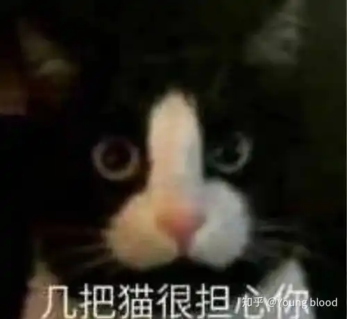 哈哈喵开黑的表情包又又