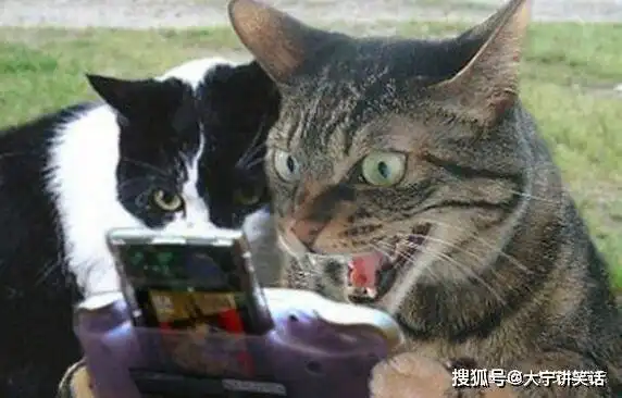 笑话十则我姑一顿也能吃一盆,我家二哈驮着她一口气跑二里地  笑话十则我姑一顿也能吃一盆,我家二哈驮着她一口气跑二里地