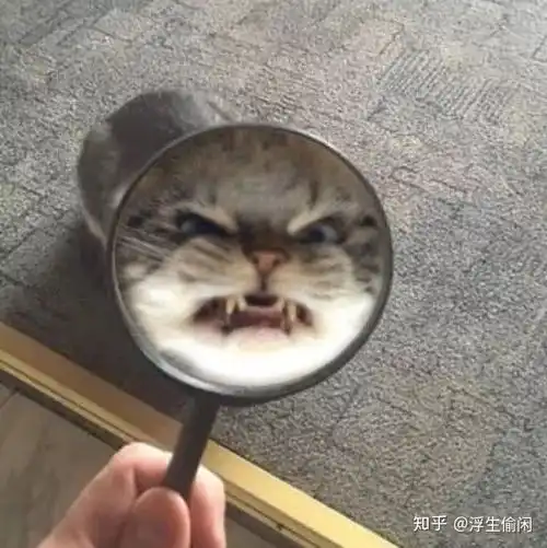  论工程管理女生就业前景有多糟糕