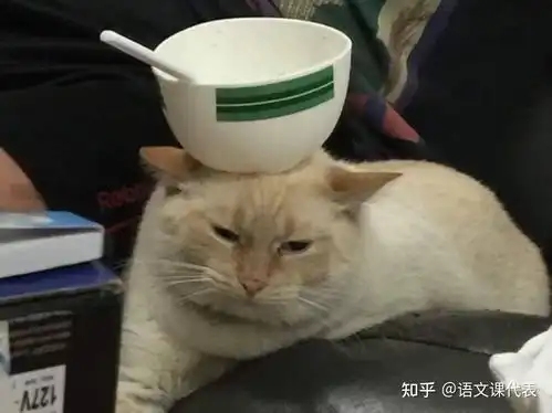  有什么让人一看就觉得这个人好有意思啊的文案