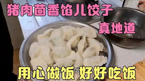  每天用心做饭好好吃饭今天的猪肉茴香馅饺子太地道了