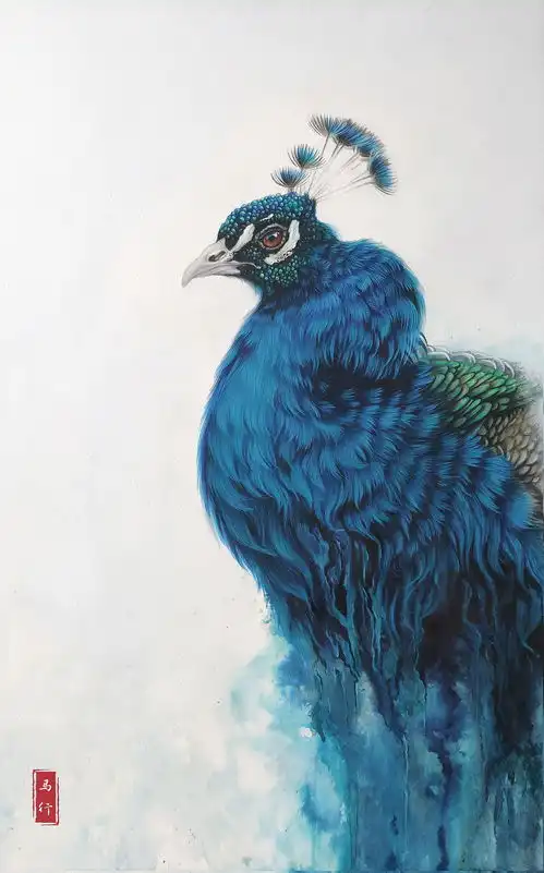  彩铅孔雀