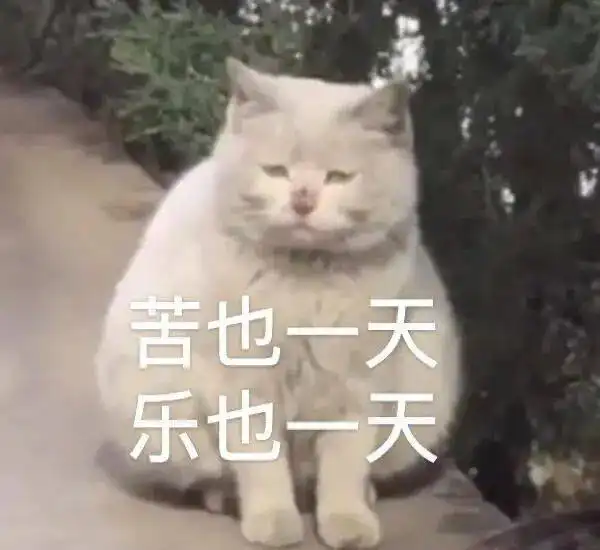  没有运动细胞是什么体验哈哈哈点开之前没想到这么好笑