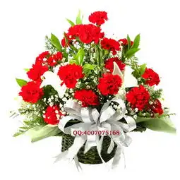  时尚鲜花网美丽季节,时尚鲜花网,手机版手机版