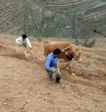  你输前三位,我输后三位,咱们合作愉快....