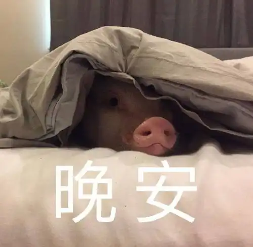  可爱搞笑动物表情包图片,好了不要再说了
