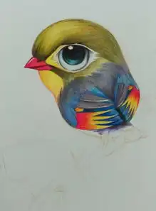  教程教你用彩铅画一只相思鸟