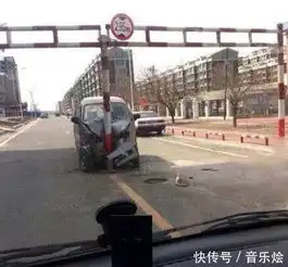  搞笑图片幽默段子笑话狗子你还学过舞蹈呢,厉害了哦,哈哈哈