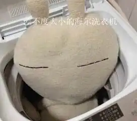  爆笑各地网友实验洗衣机塞孩子组图