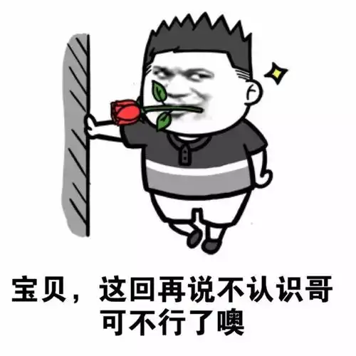  ta们来了吴秀波汪涵关之琳蒋欣宋茜唐艺昕陈妍希沈梦辰谭元元