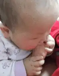  去山上捡菌子遇到的大木柴,可以烧很久了吧哈哈哈哈会动的木头