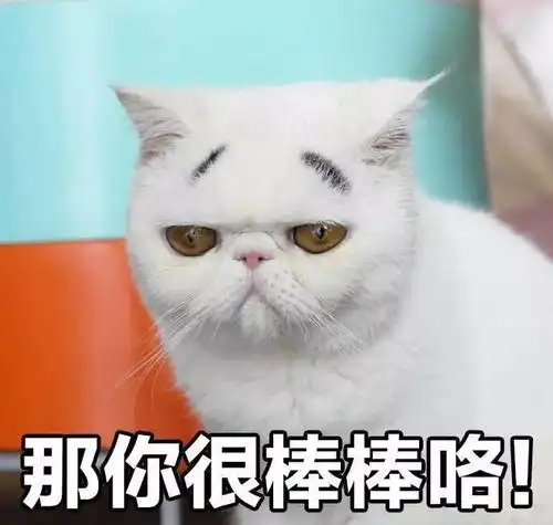  表情包丨新的一天,新的难过oo