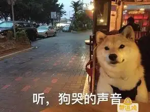  搞笑图片扛起狗子,说走就走