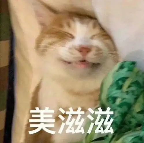  请你滚出我的世界丨第837期喵表情包