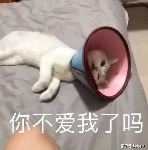  搞笑表情包图片一大群美女,却没人想听你说话