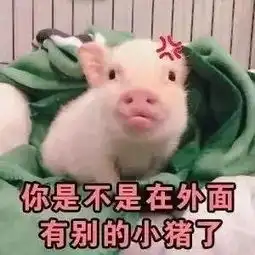  大佬后宫四美2鲜肉被下药强睡,两男为爱大打出手