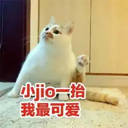  有人发你的表情包怼死他盗图也就算了,还当面发,吃坨屎吧你
