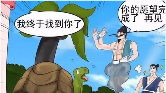  搞笑漫画乌龟实现了愿望,为何遭到美女的追杀