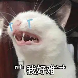  你好,ee专业留学人