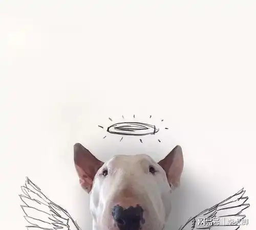 空间搞笑说说带图片is