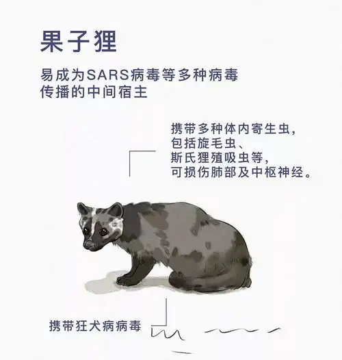  肺炎疫情的反思动物保护究竟是在保护谁