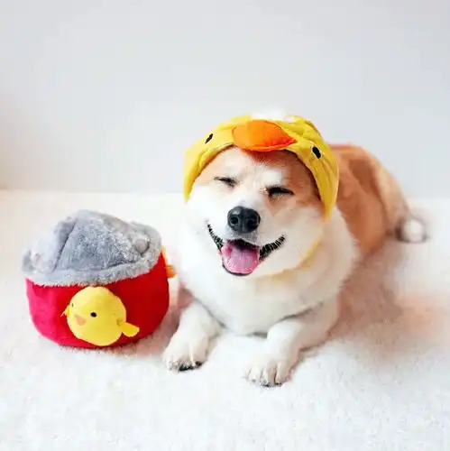  朋友圈很唯美的早安说说,选一句送给自己