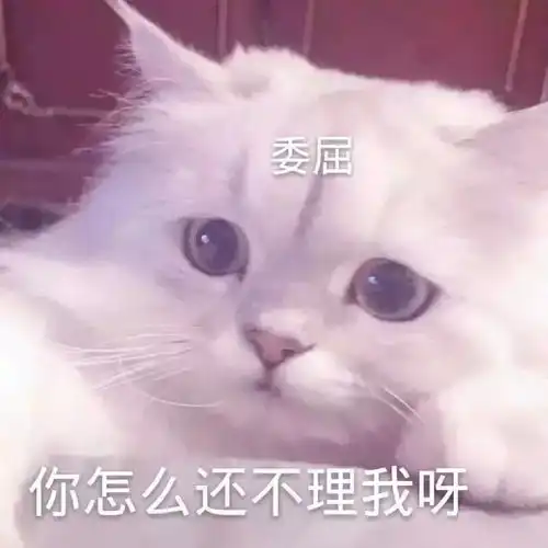  萌宠表情包想要男人