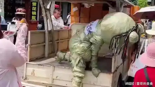  景区里的搞笑一幕,快递件竟然自己下车了
