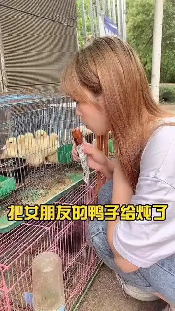  今天应该是鸭子的第一天也是最后一天情侣日常搞笑经纪人下艾欧唯