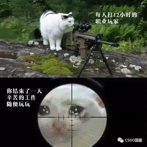  搞笑图集心态崩了