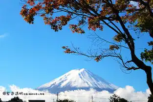 富士山下吃喝玩乐一日游线路推荐  富士山下吃喝玩乐一日游线路推荐