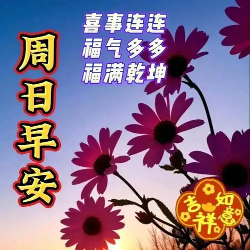  2024年6月23日农历五月十八祝福图片星期日最新问候美图周末愉快