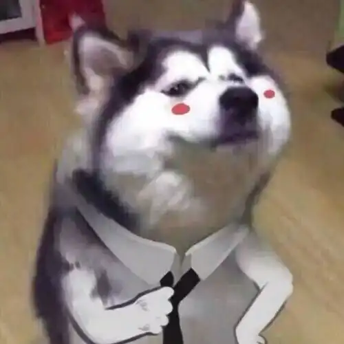 搞笑女生头像图片表情包