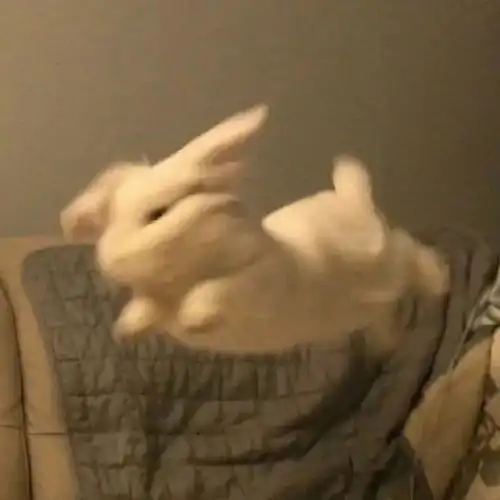 宝朋友圈背景图来啦  宝朋友圈背景图来啦