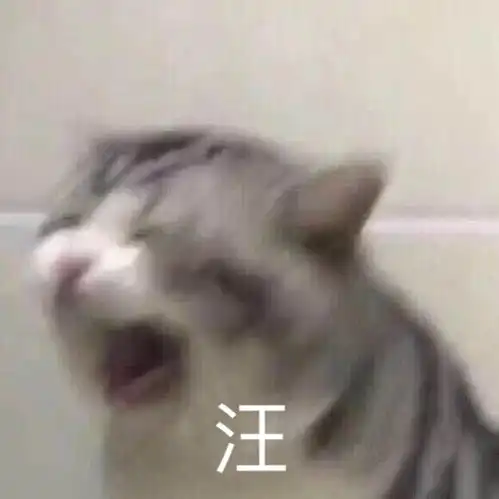  你们能理解cp文吗